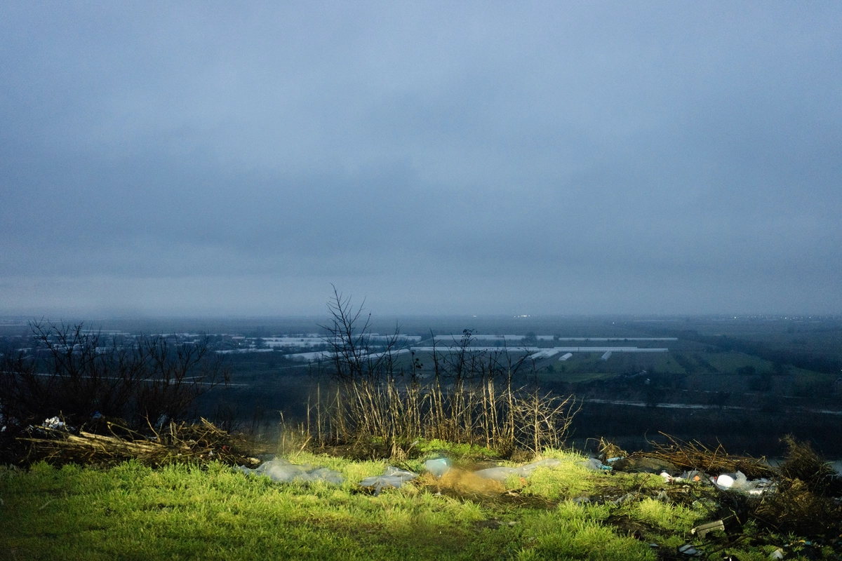 Misty hilltop overlook with bare shrubs and an overcast valley below