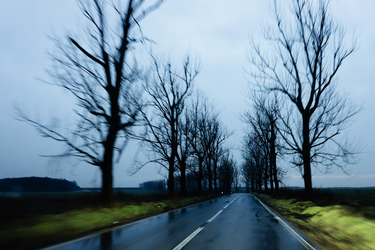 Motion-blurred drive down a wet road lined with bare winter trees